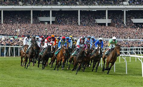 cheltenham 2020 tips